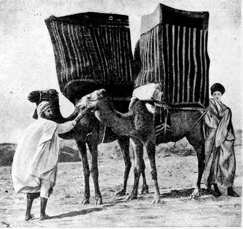 muslimwomenpalanquins